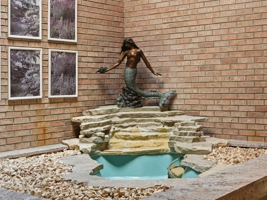Property Image 47