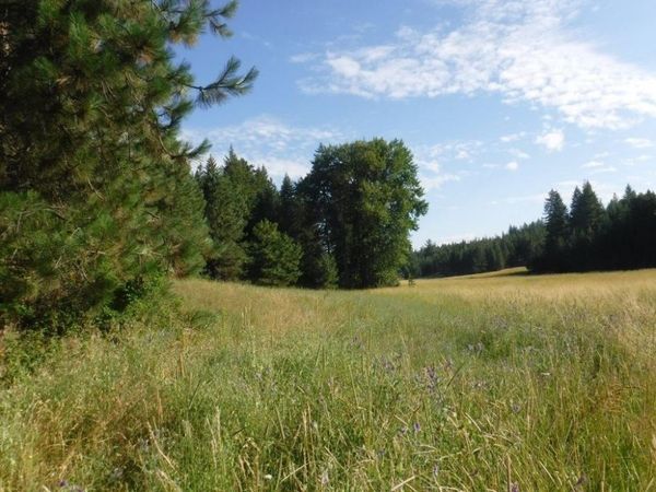 Lot 1 SW Moose Ridge Way, Loon Lake, WA 99148