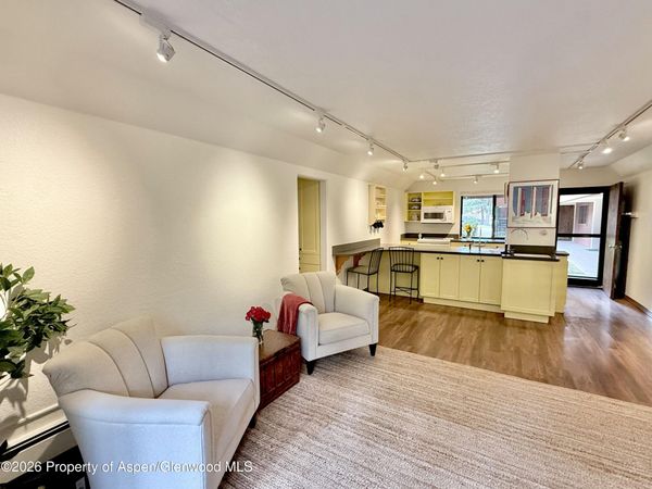 1214 Vine Street, Unit 1214, Aspen, CO 81611