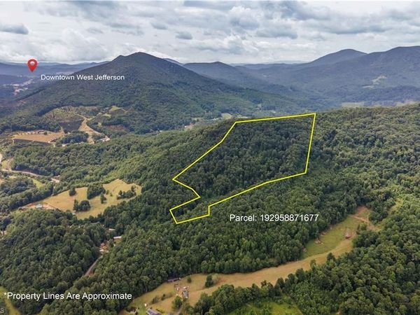 0 Tom Pless Road , Warrensville, NC 28693