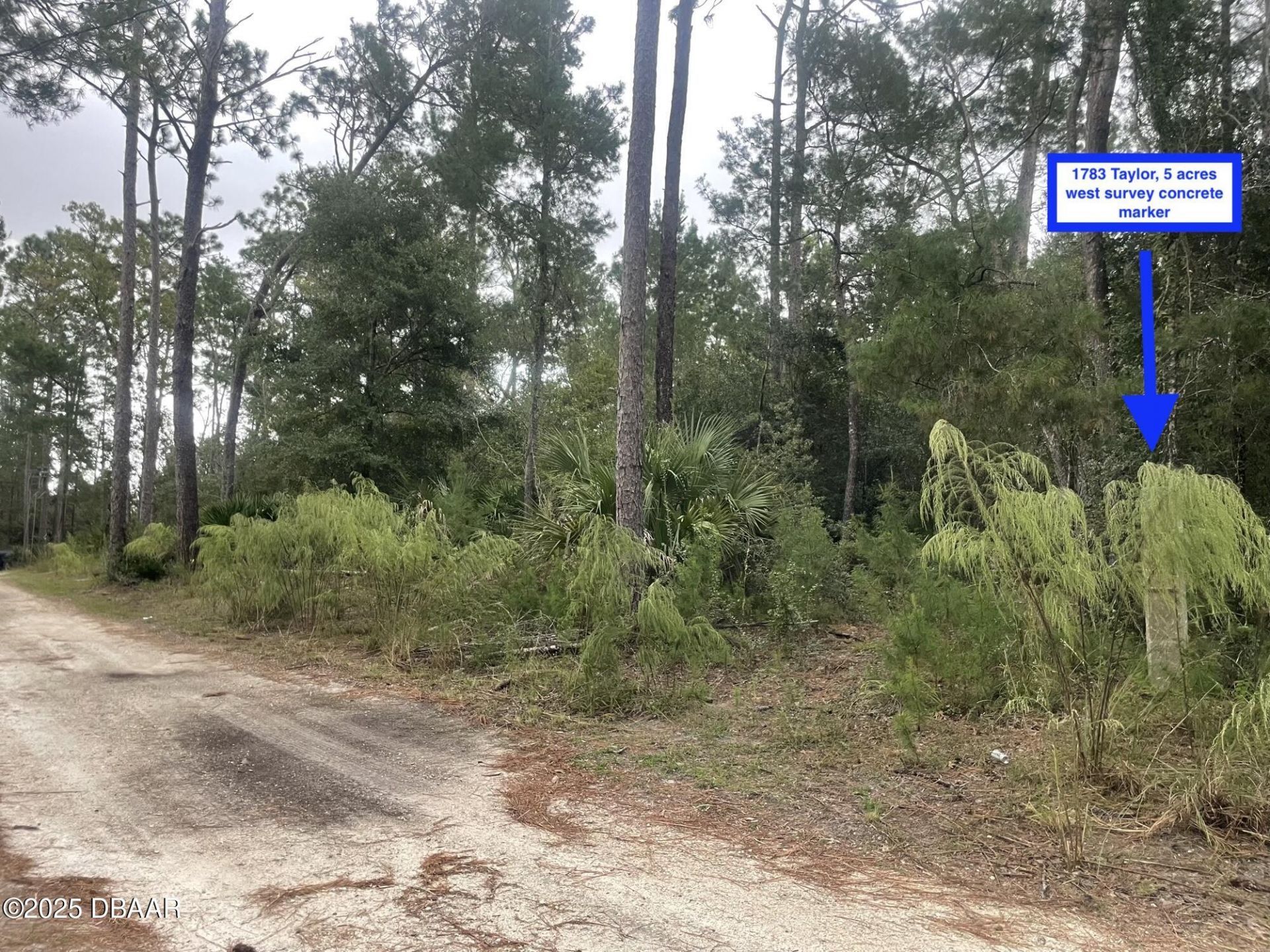 1783 Taylor Road, Port Orange, FL 32128 Photo