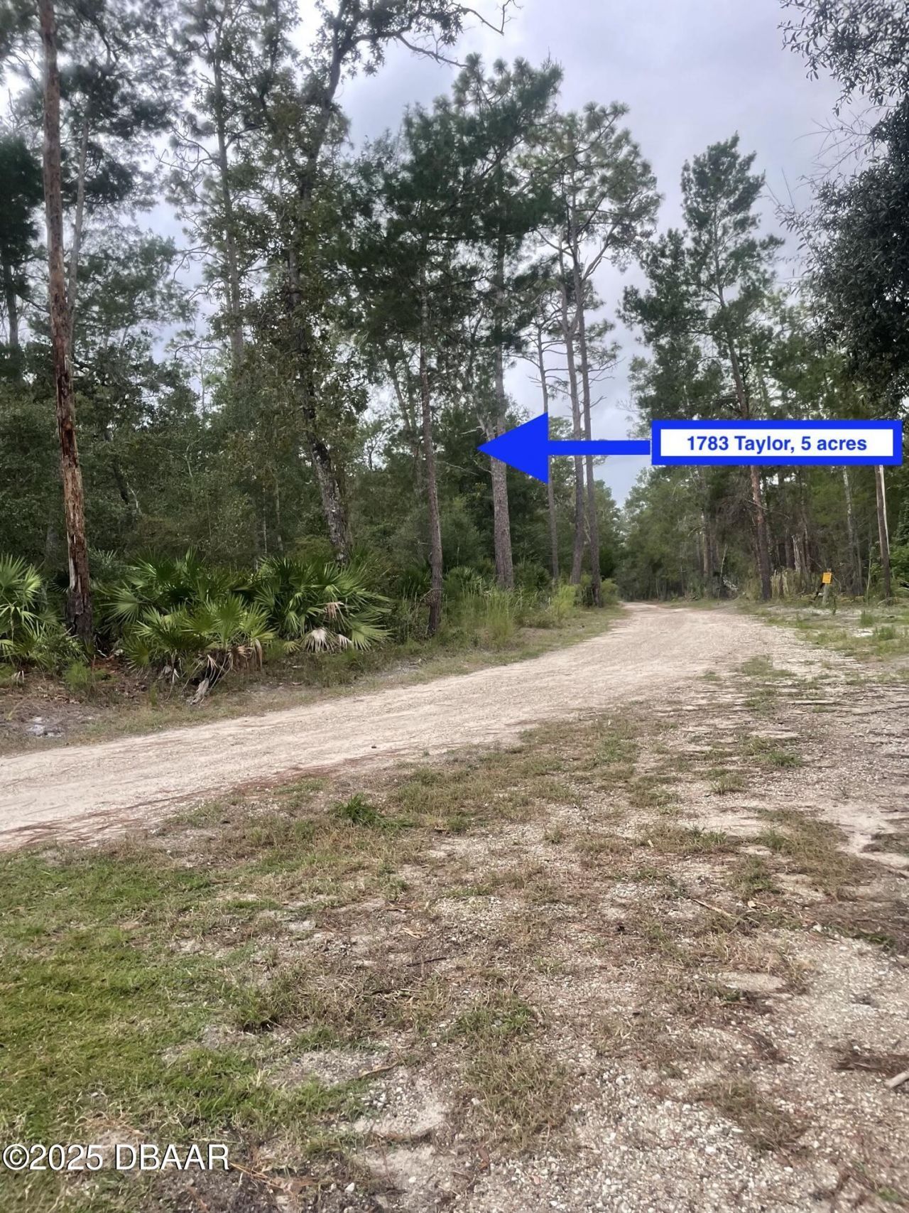 1783 Taylor Road, Port Orange, FL 32128 Photo