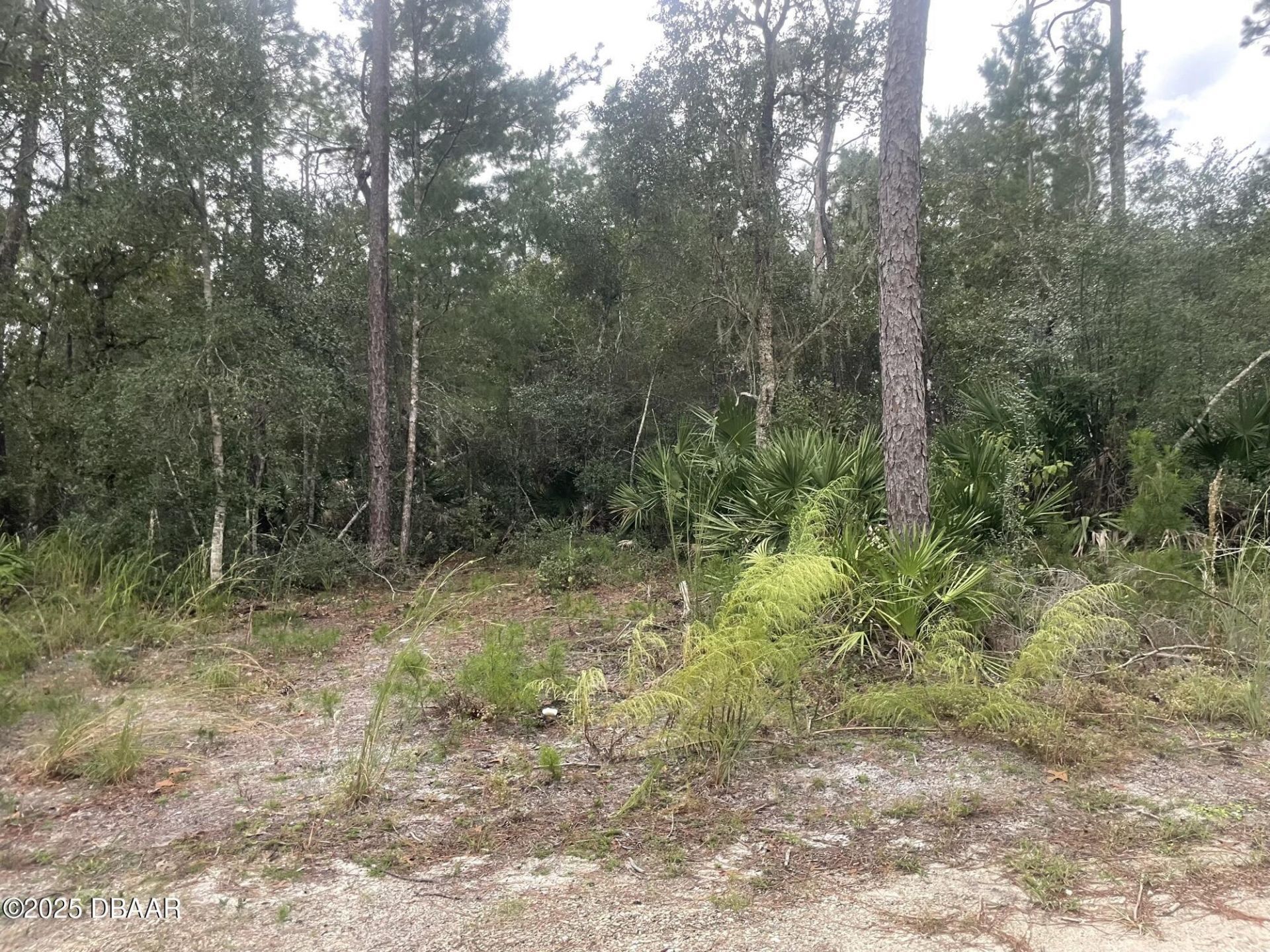 1783 Taylor Road, Port Orange, FL 32128 Photo