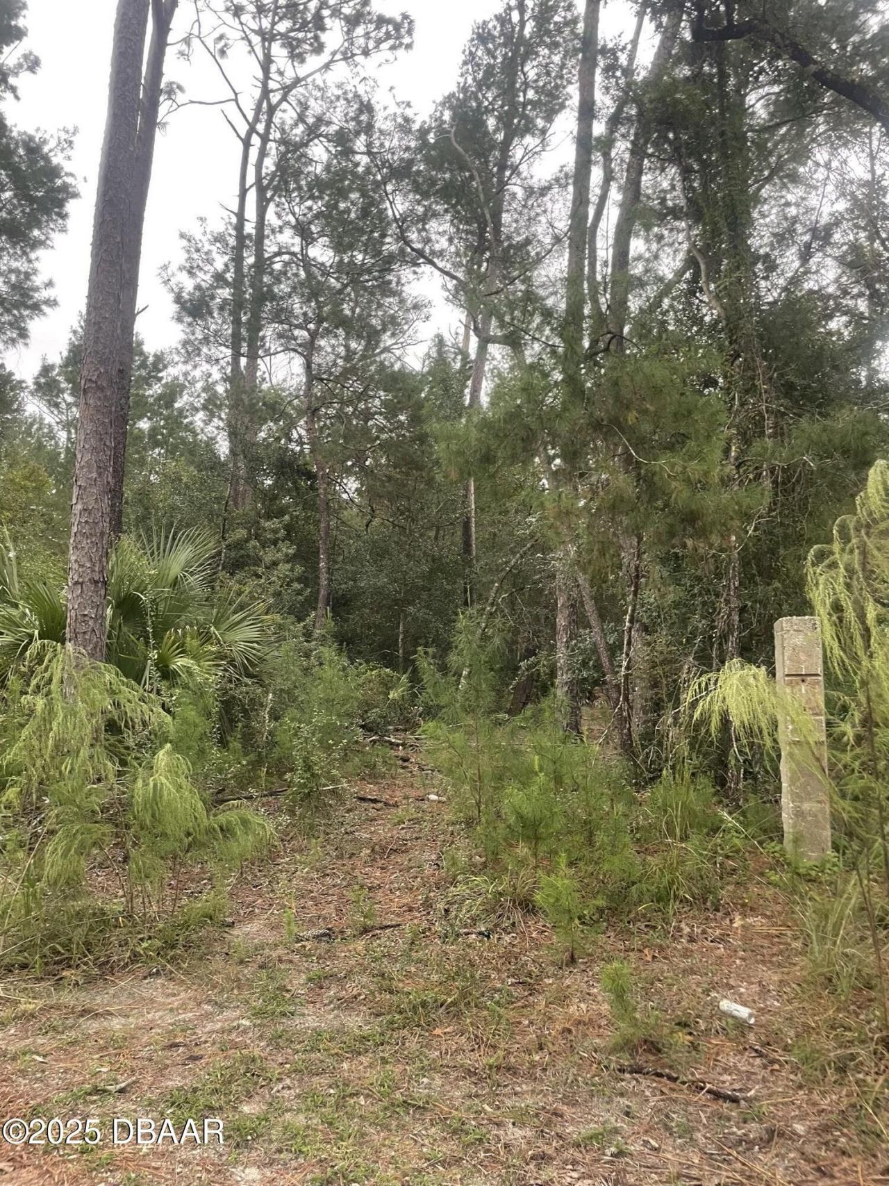 1783 Taylor Road, Port Orange, FL 32128 Photo