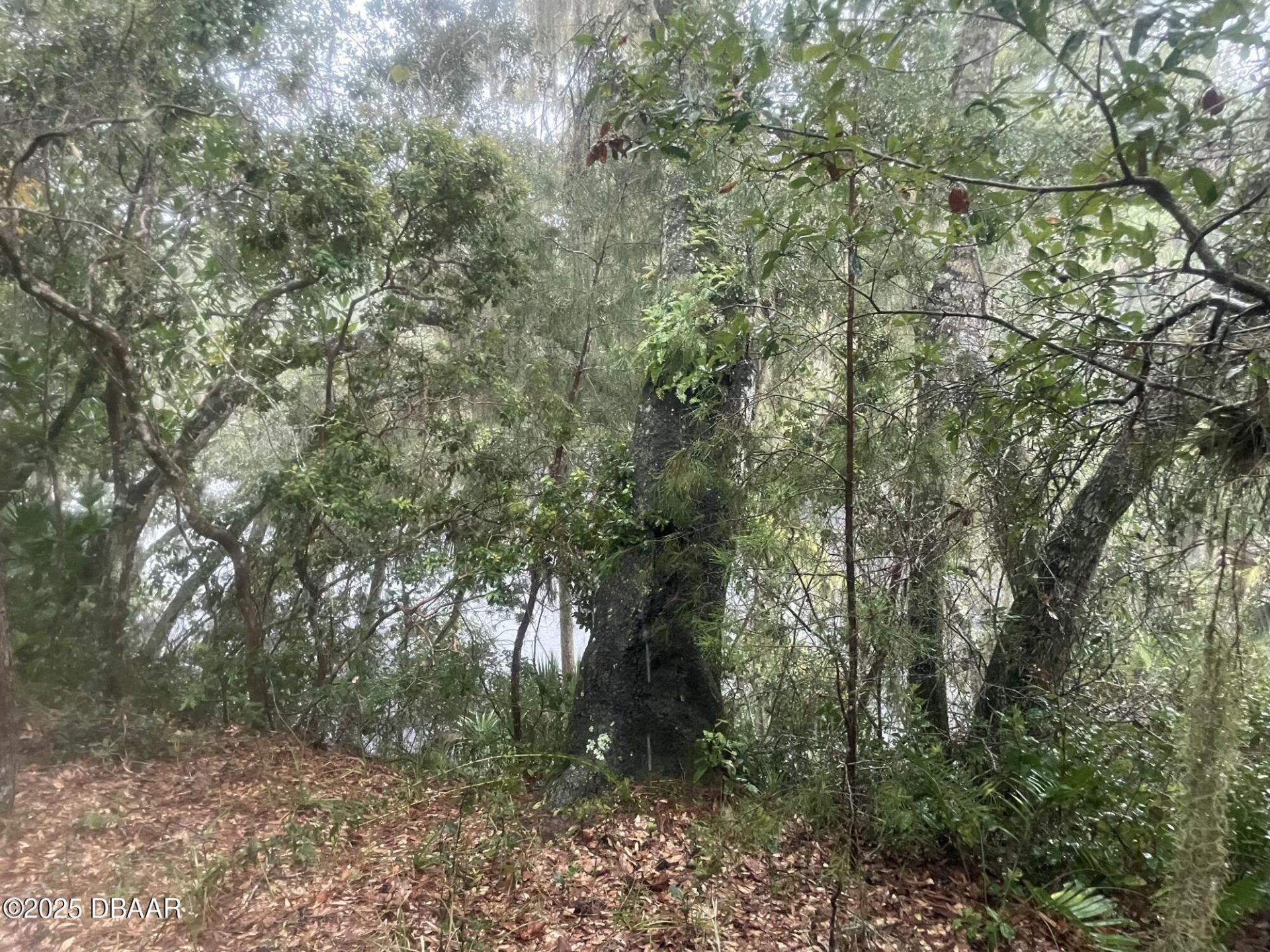 1783 Taylor Road, Port Orange, FL 32128 Photo