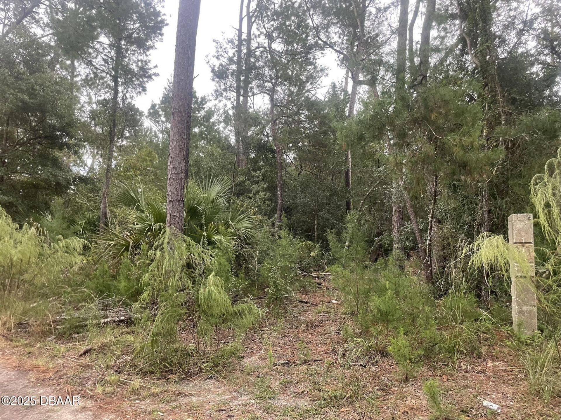1783 Taylor Road, Port Orange, FL 32128 Photo