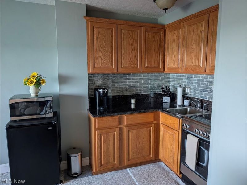 11850 Edgewater Drive, Unit 717, Lakewood, OH 44107 Photo 4