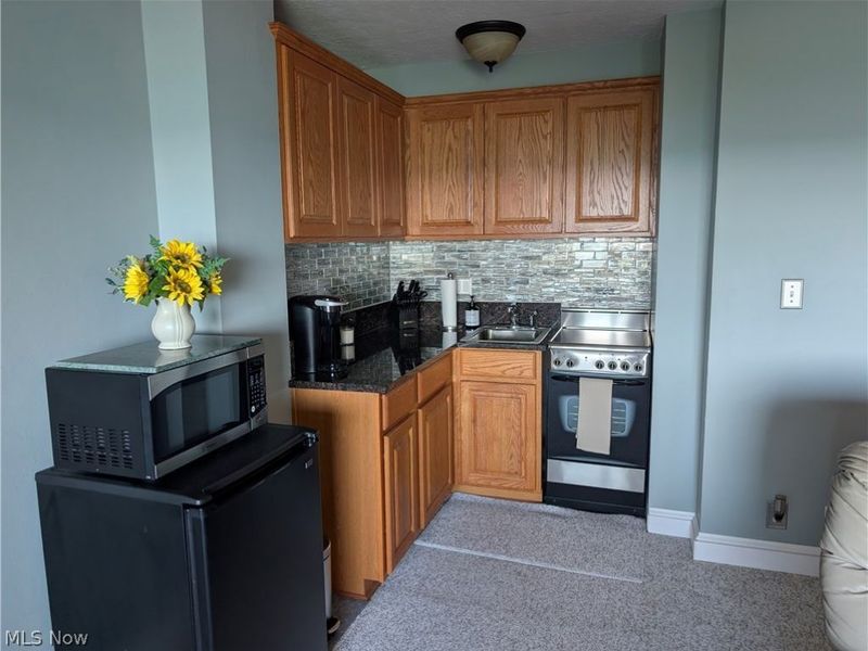 11850 Edgewater Drive, Unit 717, Lakewood, OH 44107 Photo 5