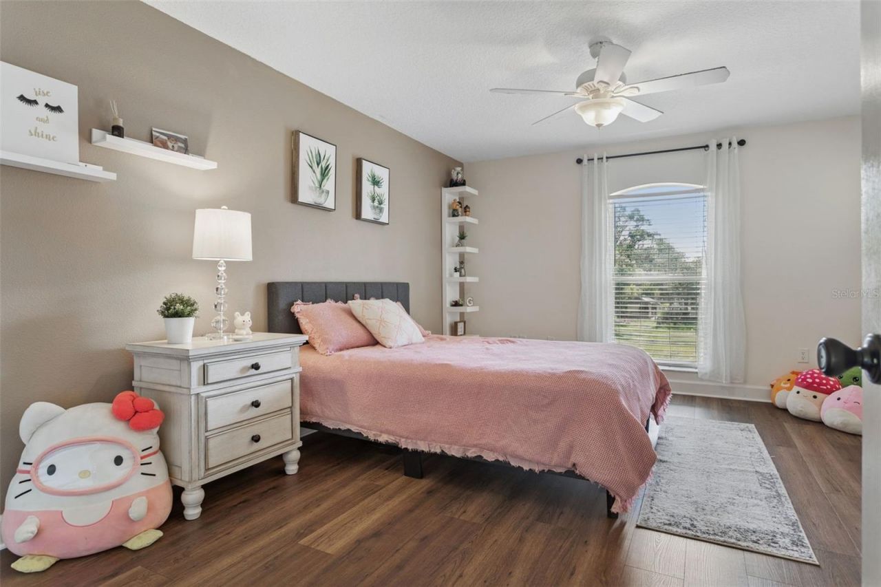 793 Duque Road, Lutz, FL 33549 Photo
