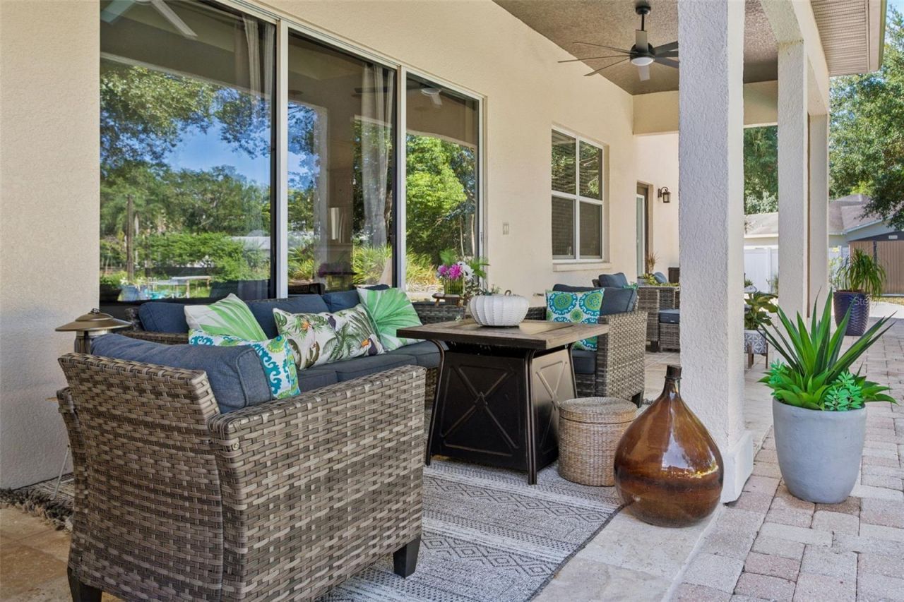 793 Duque Road, Lutz, FL 33549 Photo
