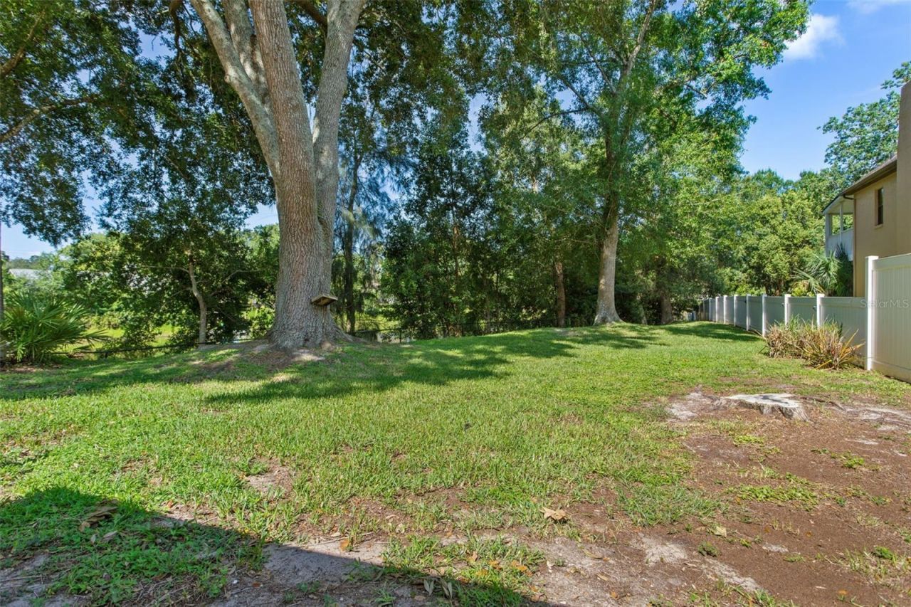 793 Duque Road, Lutz, FL 33549 Photo