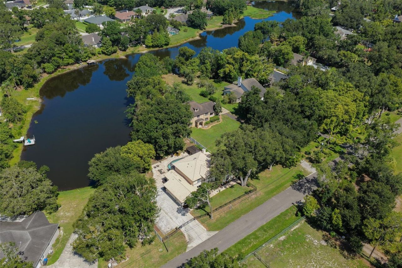 793 Duque Road, Lutz, FL 33549 Photo