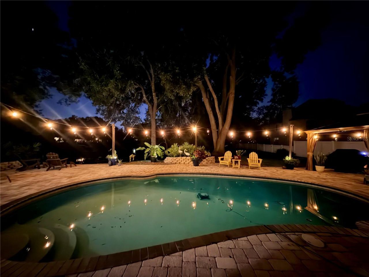 793 Duque Road, Lutz, FL 33549 Photo