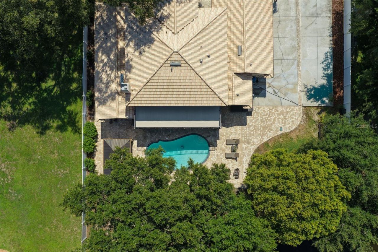 793 Duque Road, Lutz, FL 33549 Photo