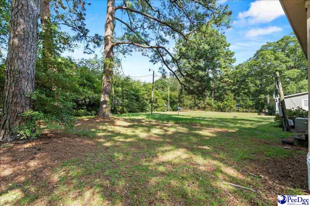 2805 Redwood Dr. Photo 10