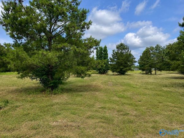 Lot 4 Rachel Lane, Centre, AL 35960