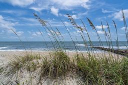 134 Palmetto Boulevard photo 4