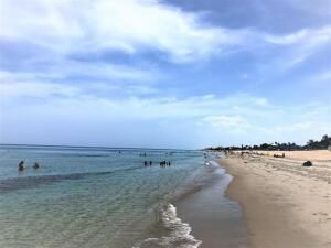 1001 NE 8th Avenue, Unit 212, Delray Beach, FL 33483 Photo