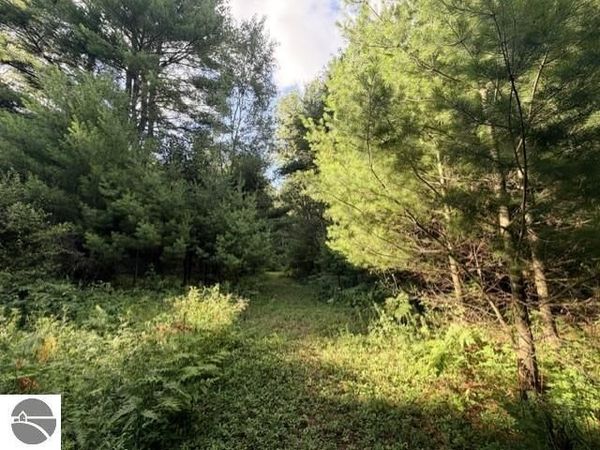 Timreck Road, Tawas City, MI 00000