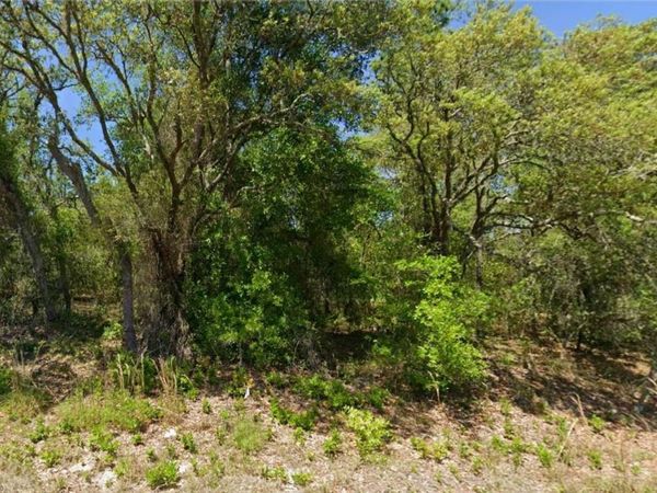 SW PAPAYA LANE, DUNNELLON, FL 34431