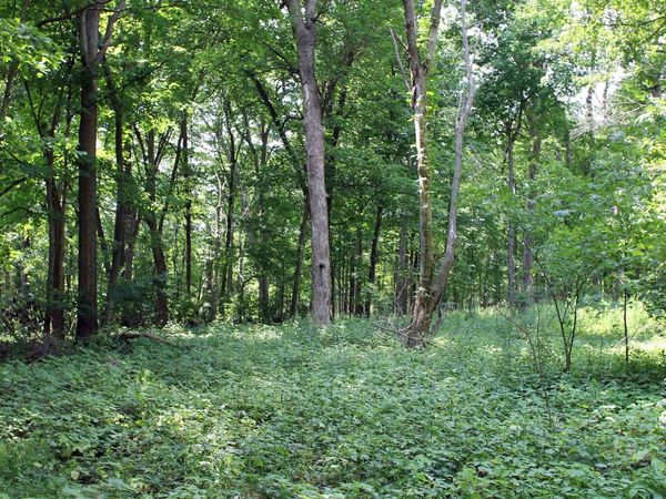 Country Hills Lane, Denver, IA 50622