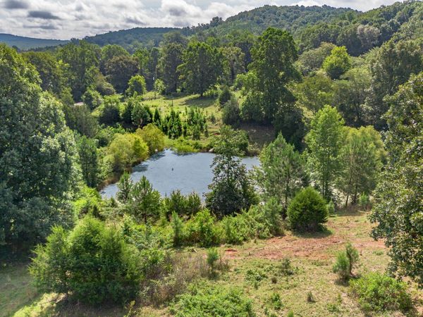 5967 County Road 19, Heflin, AL 36264