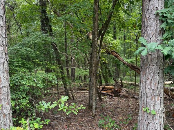 LOT 79 Island Creek Drive, Sparta, GA 31087