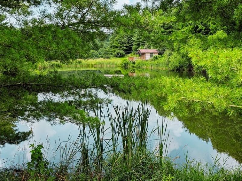 1139 Allgyer Road SE, Gnadenhutten, OH 44629 Photo 25