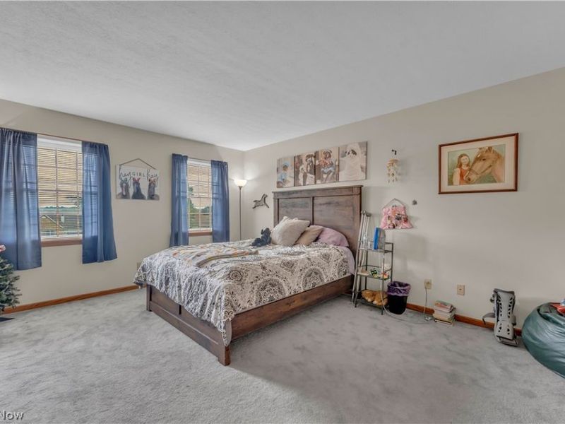 3516 Briarwood Drive, Wooster, OH 44691 Photo 33