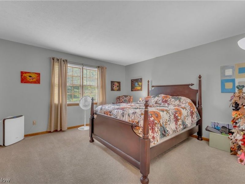 3516 Briarwood Drive, Wooster, OH 44691 Photo 35