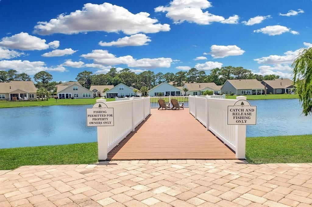 173 Zostera Dr. Photo 46