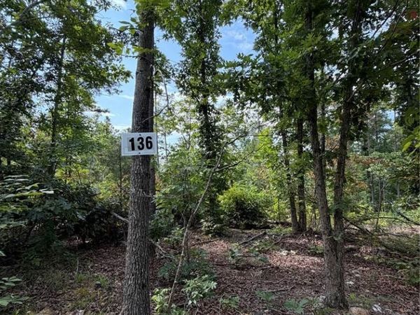 #136 Madison 410, Fredericktown, MO 63645