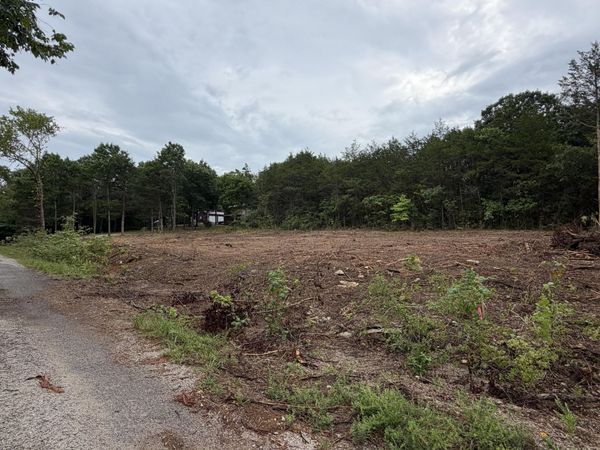 278 N Millwood Street , Shell Knob, MO 65747