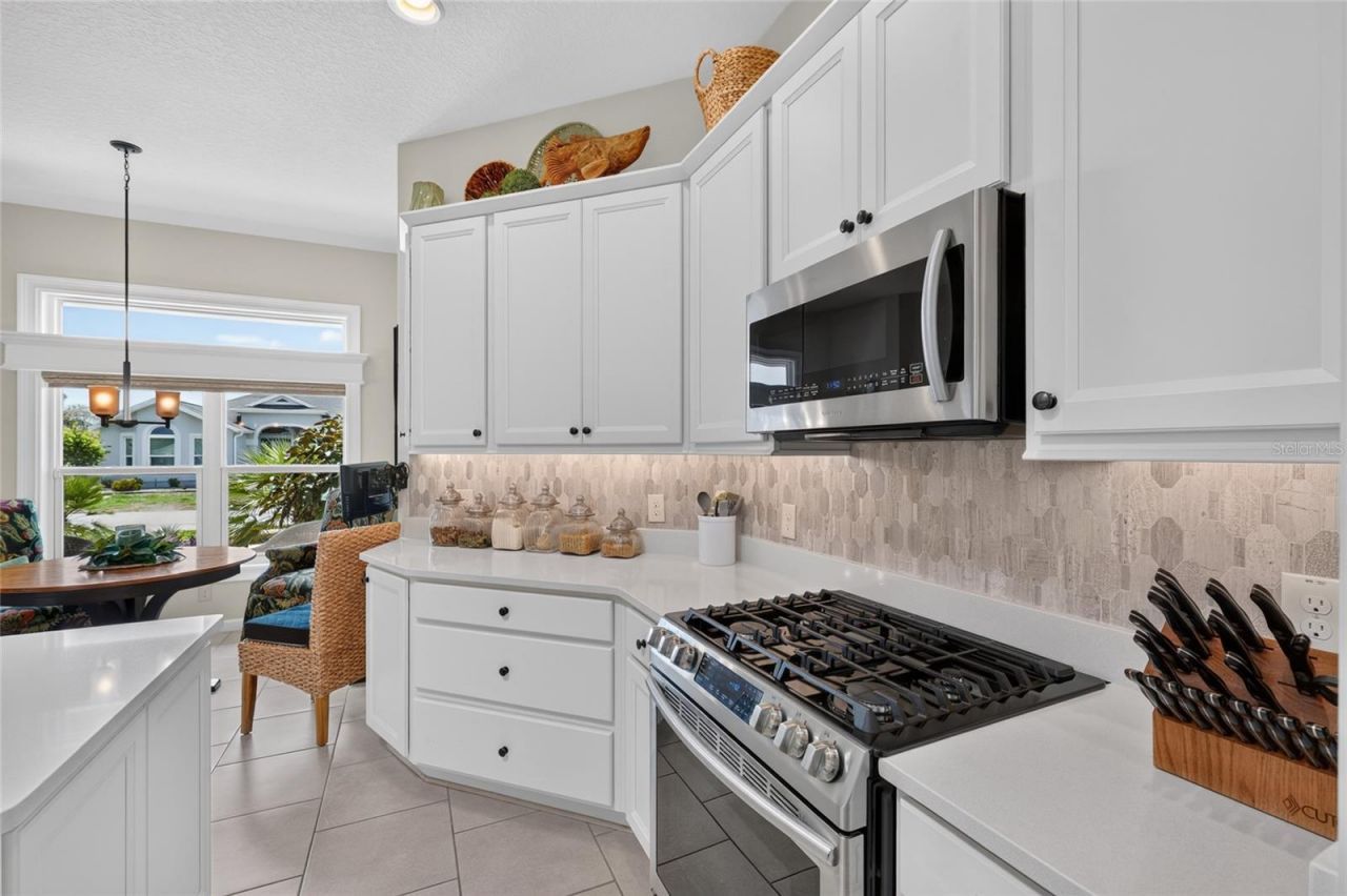 1579 Mceldowney Place, The Villages, FL 32163 Photo