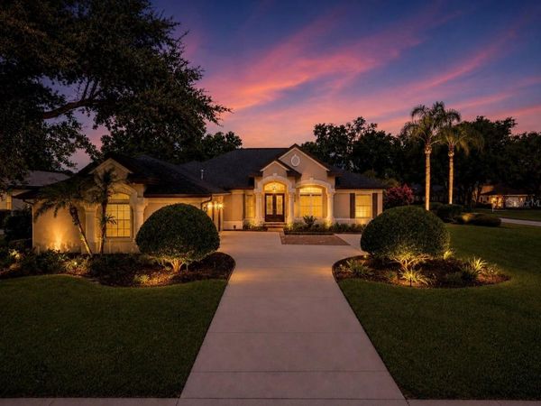 6105 AUDUBON MANOR BOULEVARD , LITHIA, FL 33547