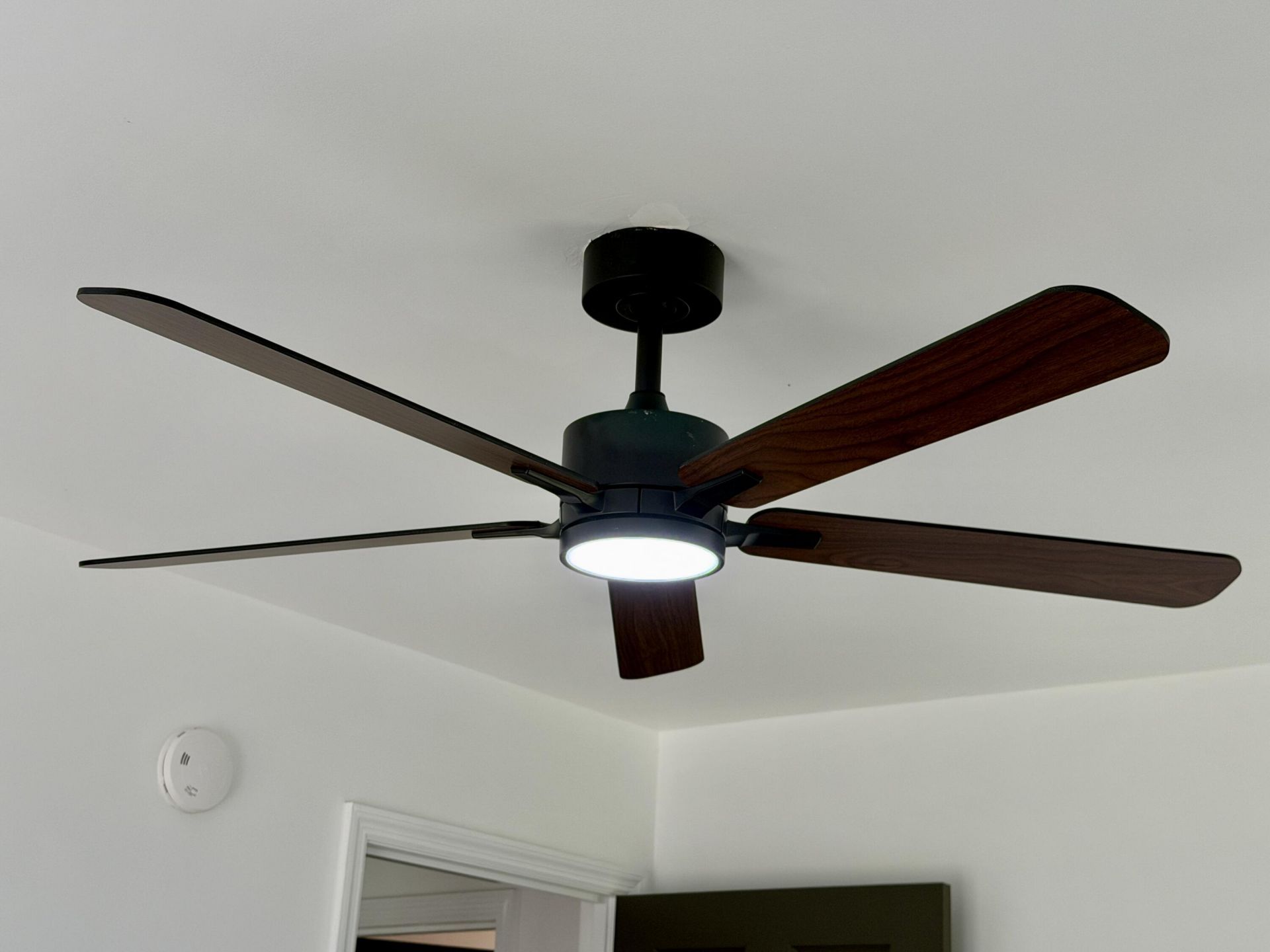 2526 Longbranch Drive Photo 22