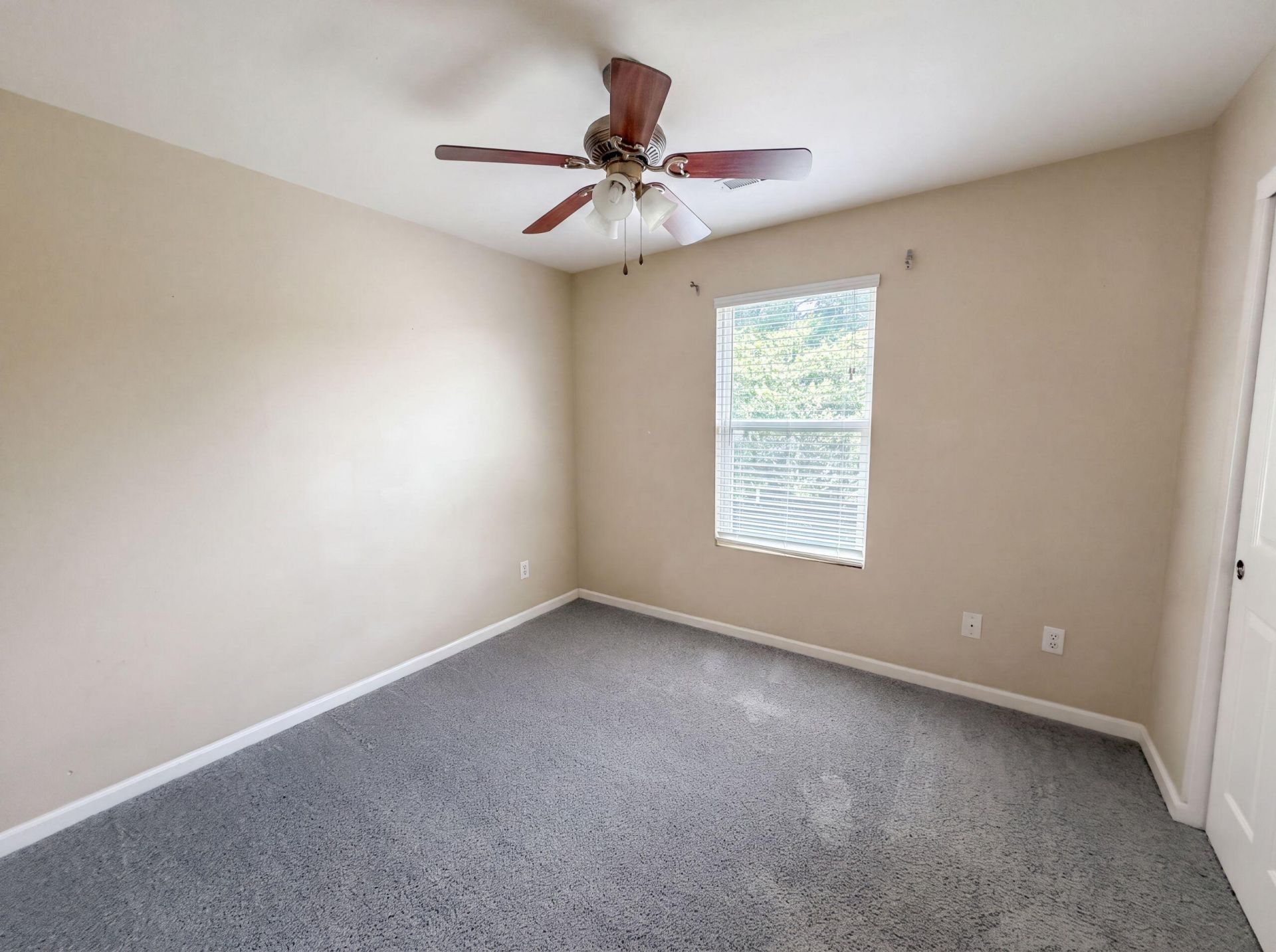 252 Cameron Street Photo 14
