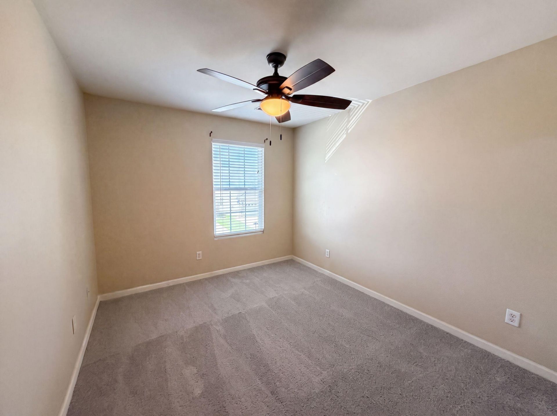 252 Cameron Street Photo 16