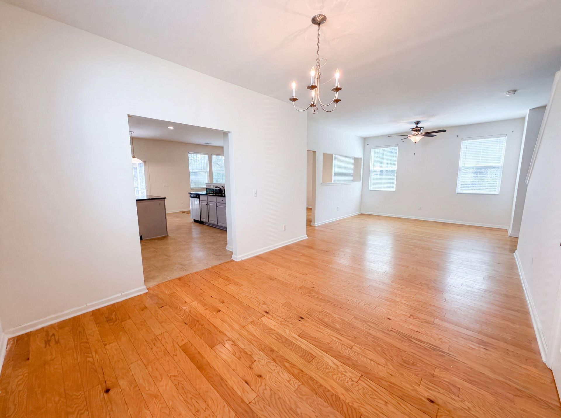 252 Cameron Street Photo 8