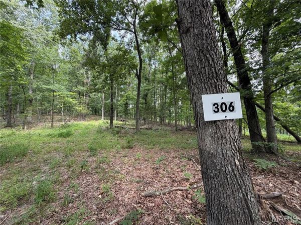 #306 Madison 410 , Fredericktown, MO 63645
