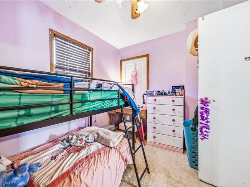 216 2nd Street, Fairport Harbor, OH 44077 Photo 19