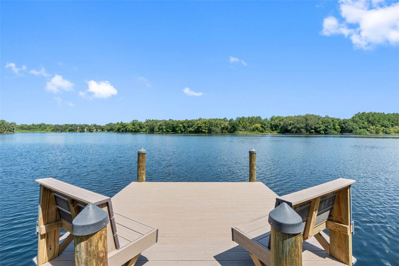 4221 River Hills Drive, Tampa, FL 33617 Photo