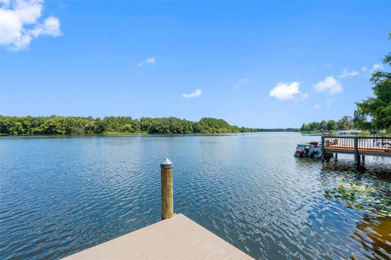 4221 River Hills Drive, Tampa, FL 33617 Photo