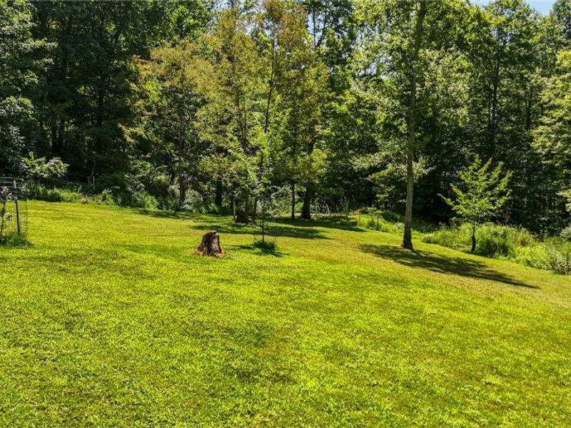 1788 Rosenbush Road, Newport, OH 45768 Photo 37