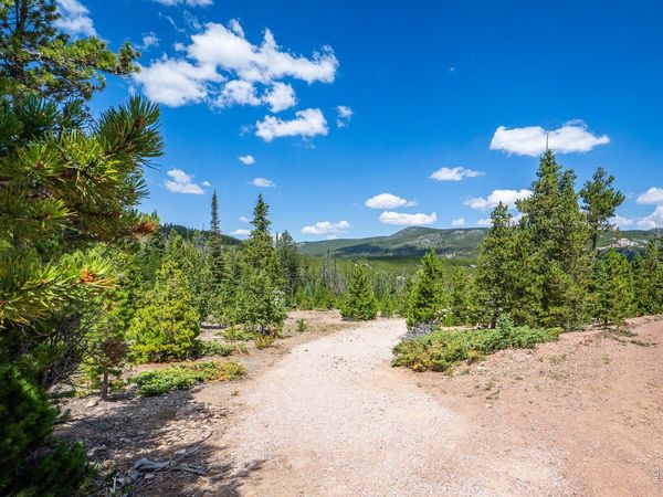 86 Natchez Cir, Red Feather Lakes, CO 80545