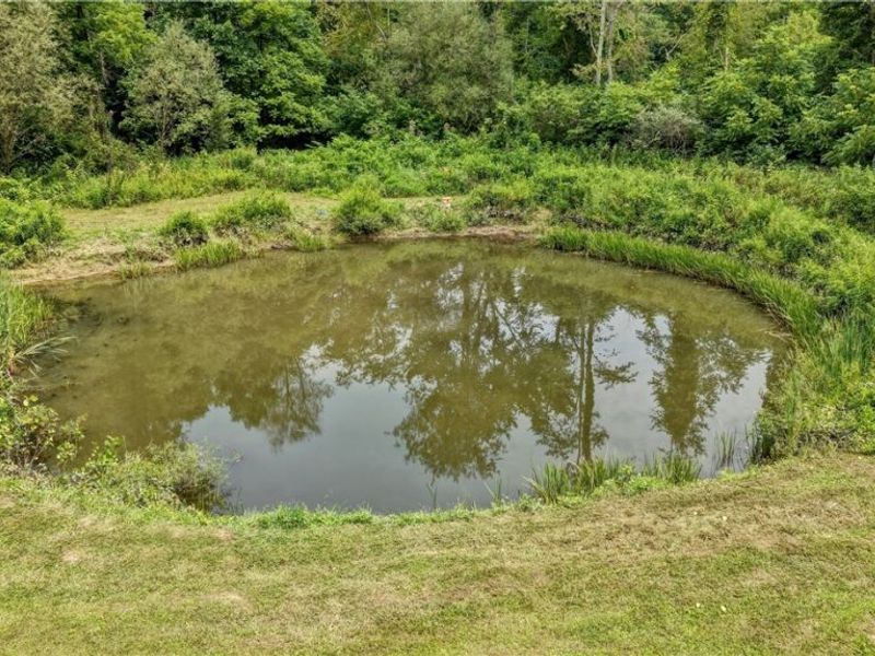 6168 SE Buckeye Hollow Road SE, Uhrichsville, OH 44683 Photo 39