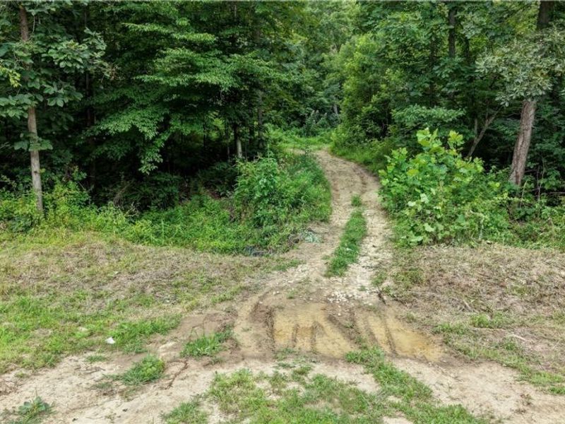 6168 SE Buckeye Hollow Road SE, Uhrichsville, OH 44683 Photo 40