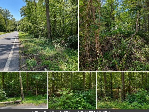 0 BLUE BALL ROAD, ELKTON, MD 21921