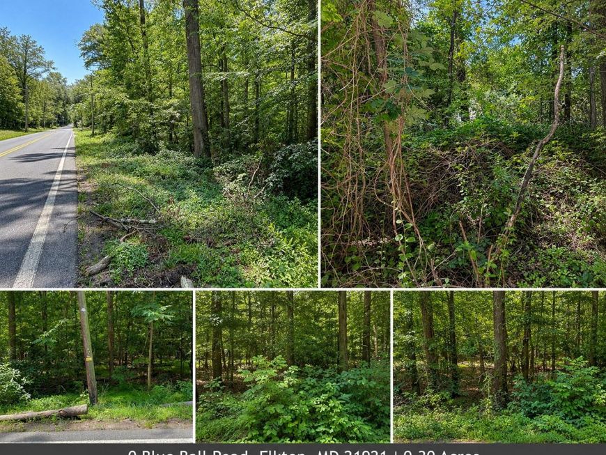 0 Blue Ball Road, Elkton, MD 21921 Main Photo