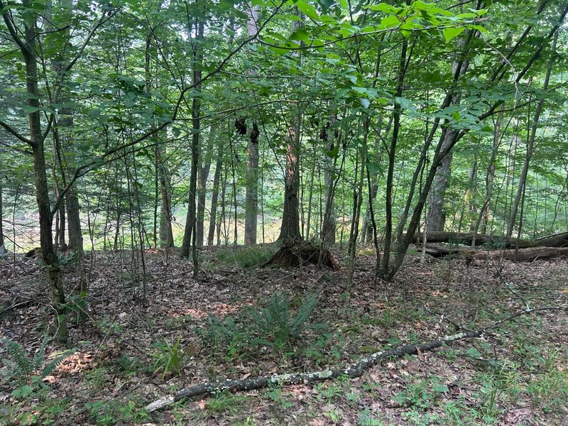 19300 Frampton Road NE, Frazeysburg, OH 43822 Photo 26